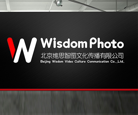 维思智图  LOGO设计